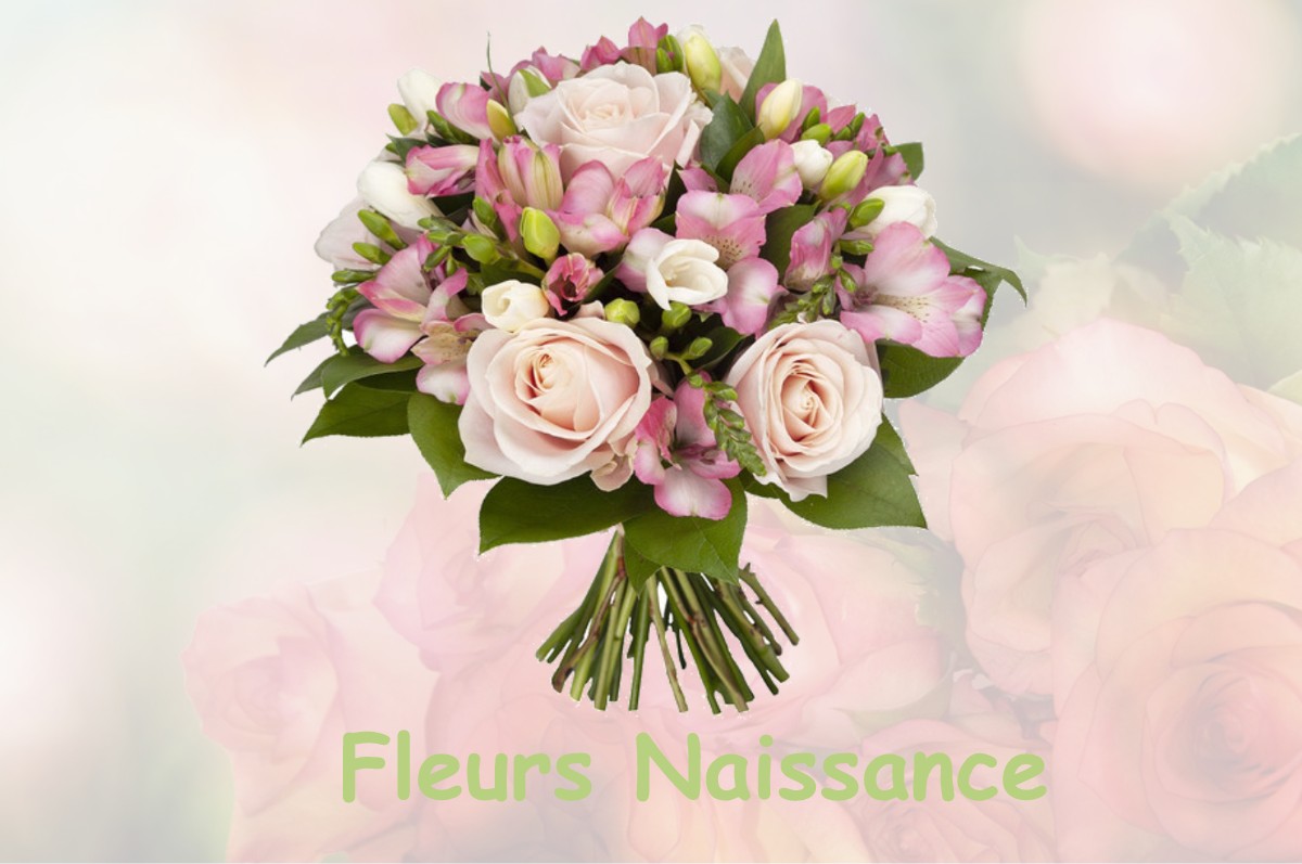 fleurs naissance STAINVILLE