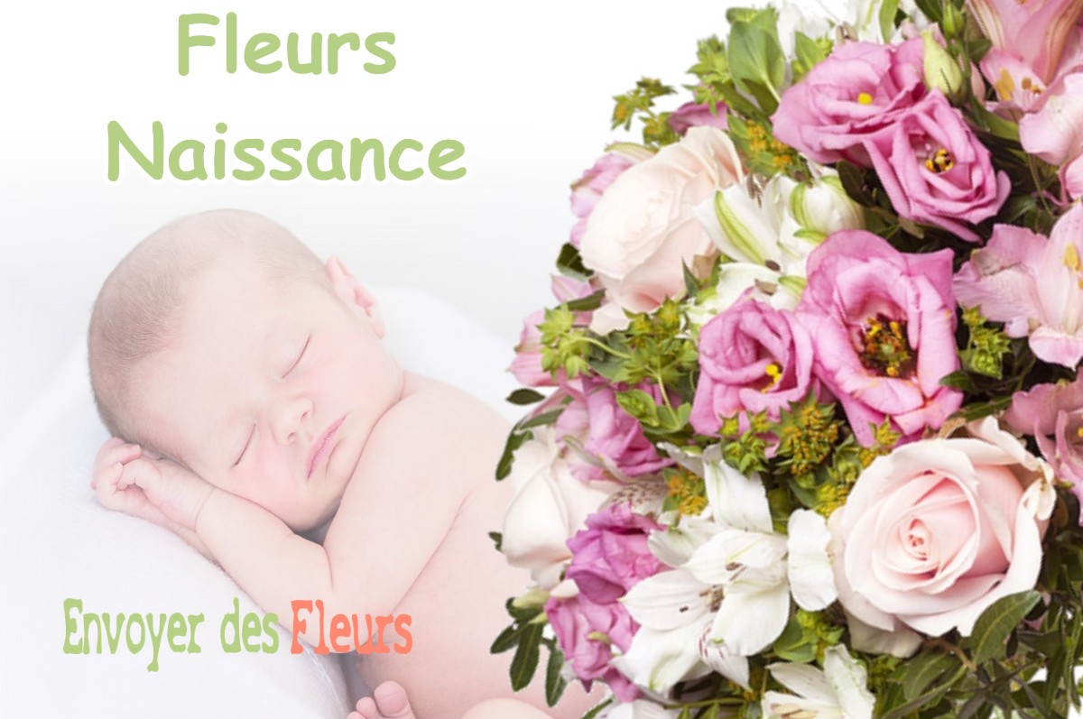 lIVRAISON FLEURS NAISSANCE à STAINVILLE